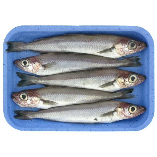 Bacaladillas