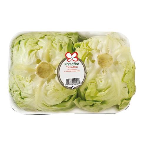 Lechuga trocadero PRIMAFLOR 2 uds.