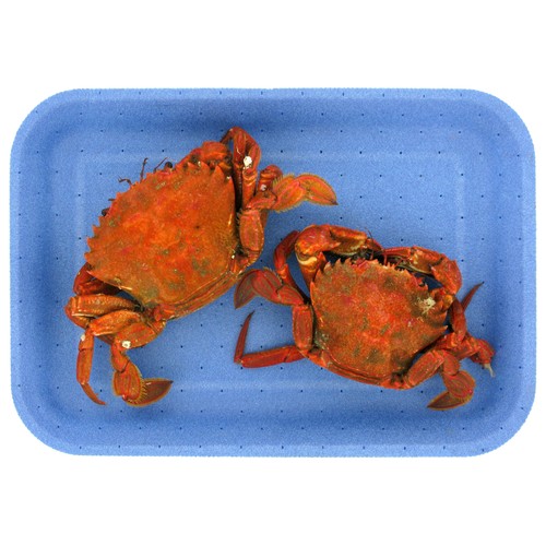 Nécoras cocidas
